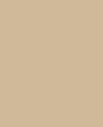 Colore My First Trench- tinte Neutri