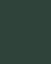 Colore Forest Dusk- tinte Verdi