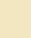 Colore Vanilla Flower- tinte Gialli