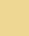 Colore Nouveau Yellow- tinte Gialli
