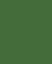 Colore Frida love's Diego- tinte Verdi