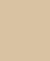 Colore Cream Foundation- tinte Neutri