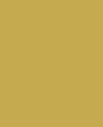 Colore Modernist Mustard- tinte Gialli
