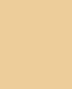 Colore Primrose Charm- tinte Gialli